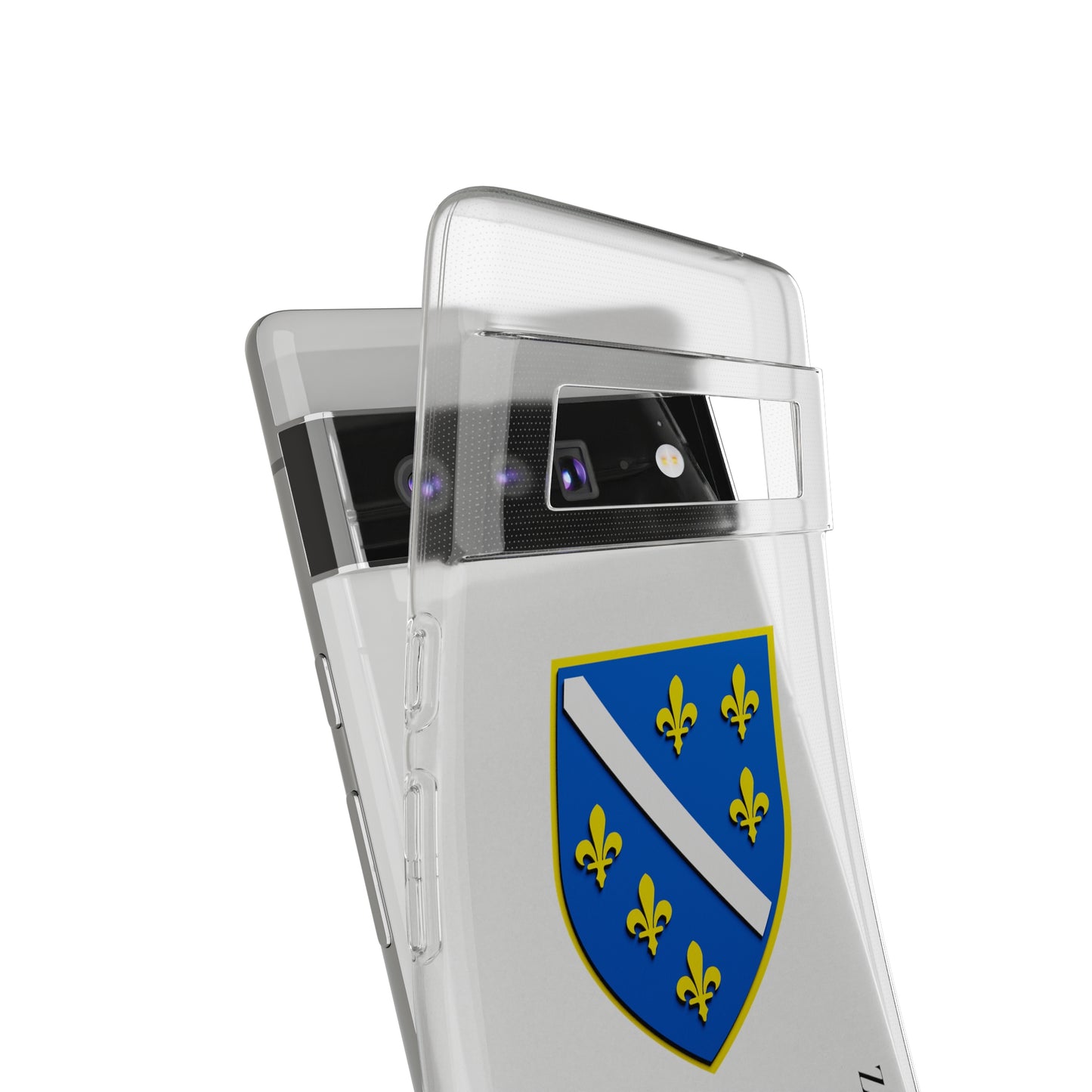 Republic of Bosnia and Herzegovina Case Google Pixel 6 Pro Shield Emblem