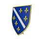 3D model of the Republic of Bosnia and Herzegovina Shield.